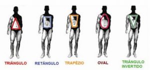 Tipos de corpo masculino